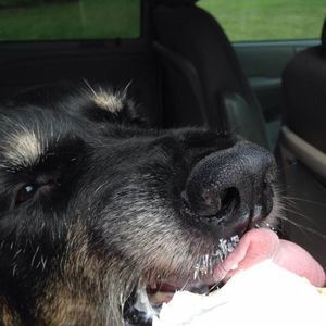 Meet your Posher, Joyce